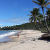 North Coqueirinho Beach