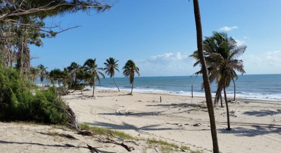 Beach of Pico das Almas