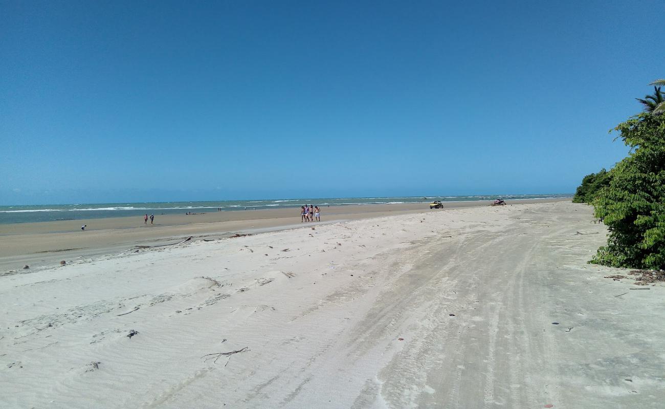 Photo of Baleia Beach with bright sand surface