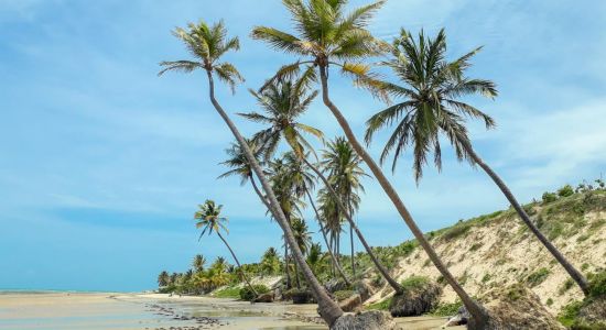 Jiqui em Caetanos Beach