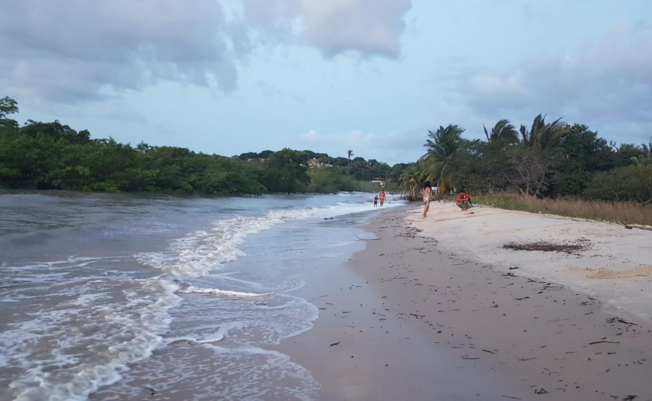 Photo of Guia Beach with bright sand surface