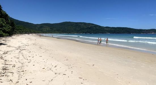 Lopes Mendes Beach