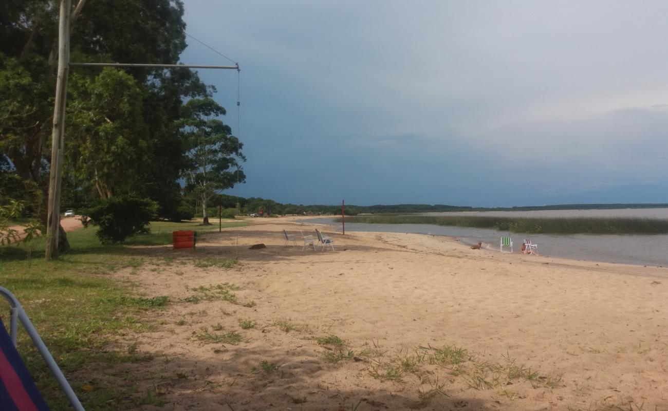 Photo of Praia Da Garca. with bright sand surface