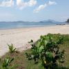 Beach camel Koh Lanta