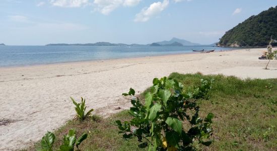 Beach camel Koh Lanta