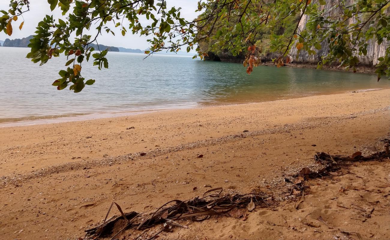 Photo of Tamarind bay Beach with bright sand surface