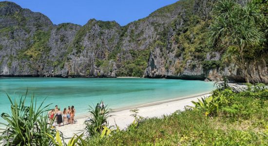 Maya Bay Beach