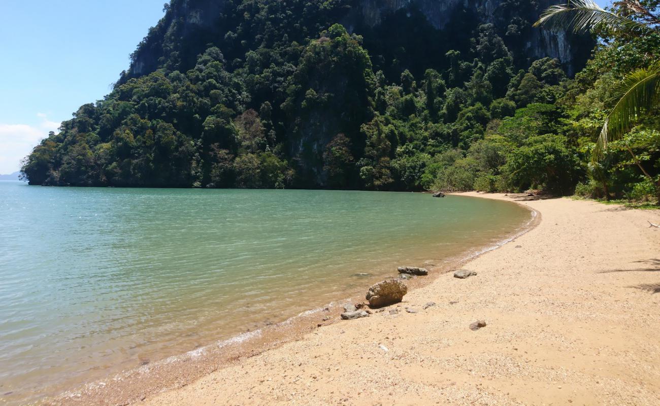 Photo of Toh Buat Beach with light sand &  pebble surface