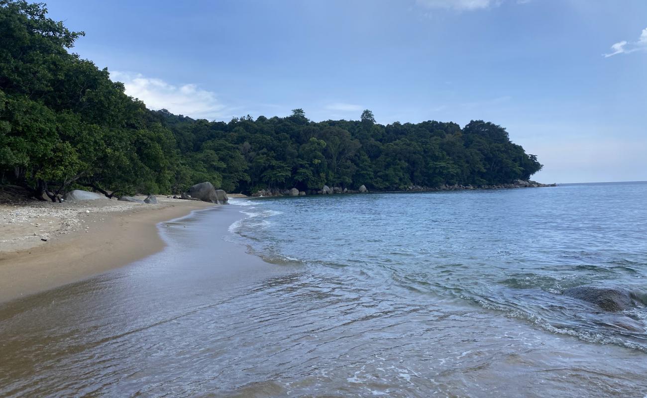 Photo of Natural Beach with bright sand surface