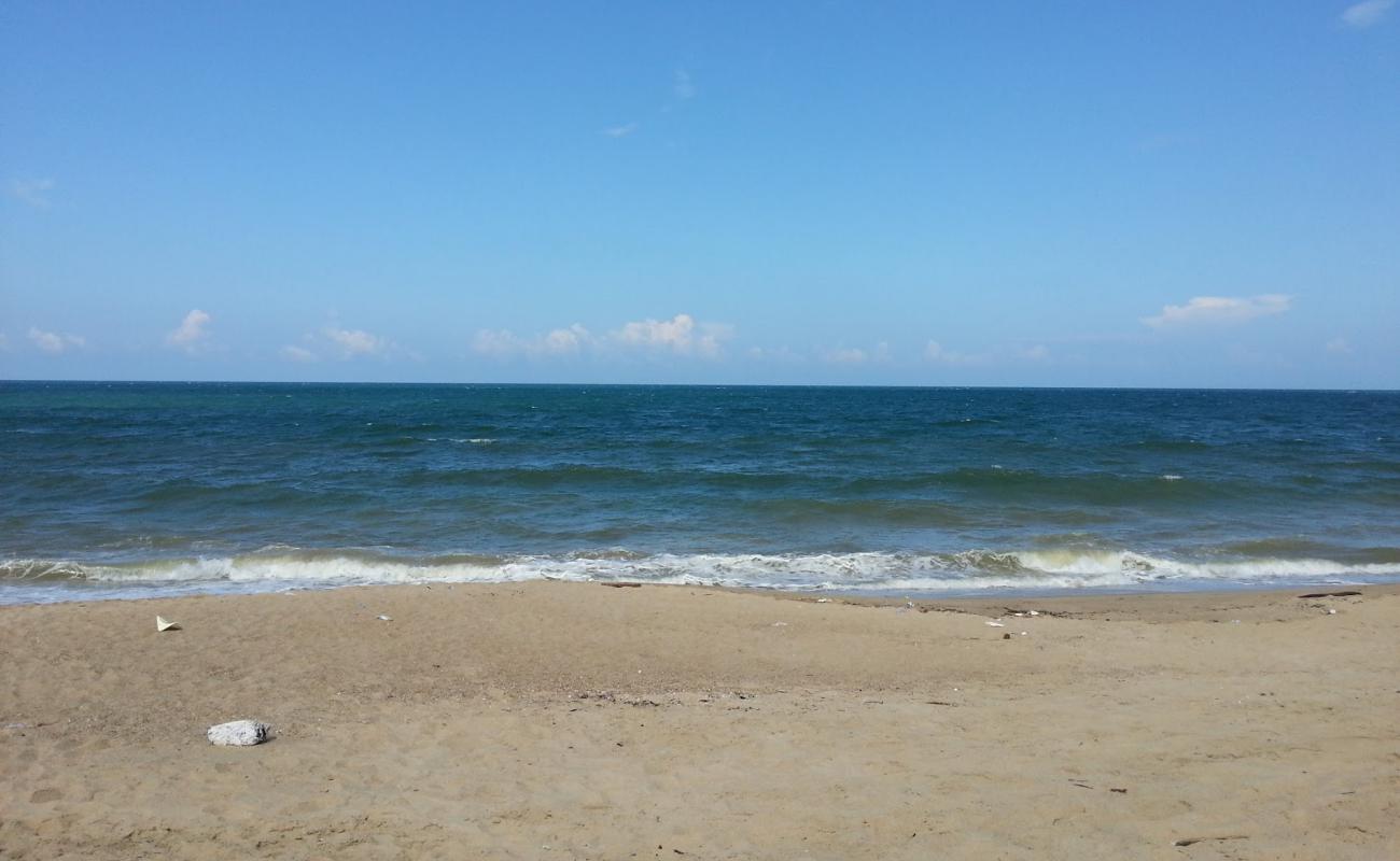 Photo of Tara Beach with bright sand surface