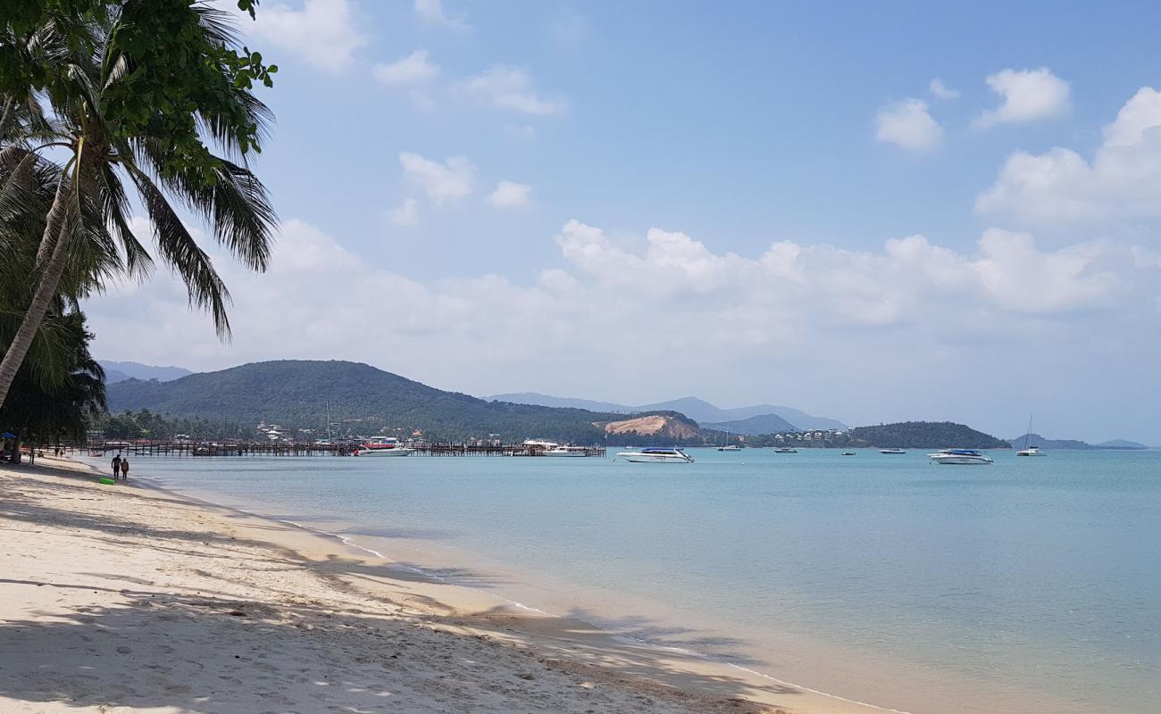 Photo of The Mermaid Beach with white sand surface