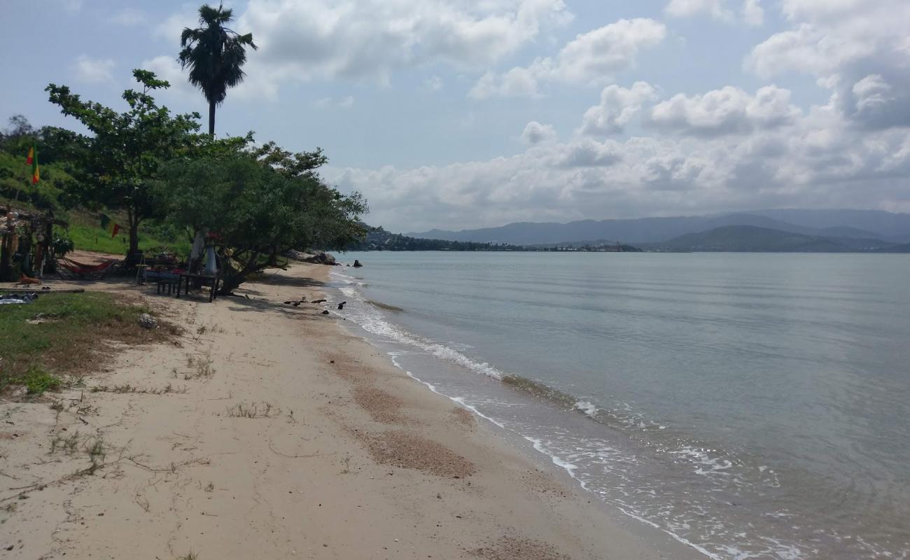 Photo of Reggae beach with bright sand surface