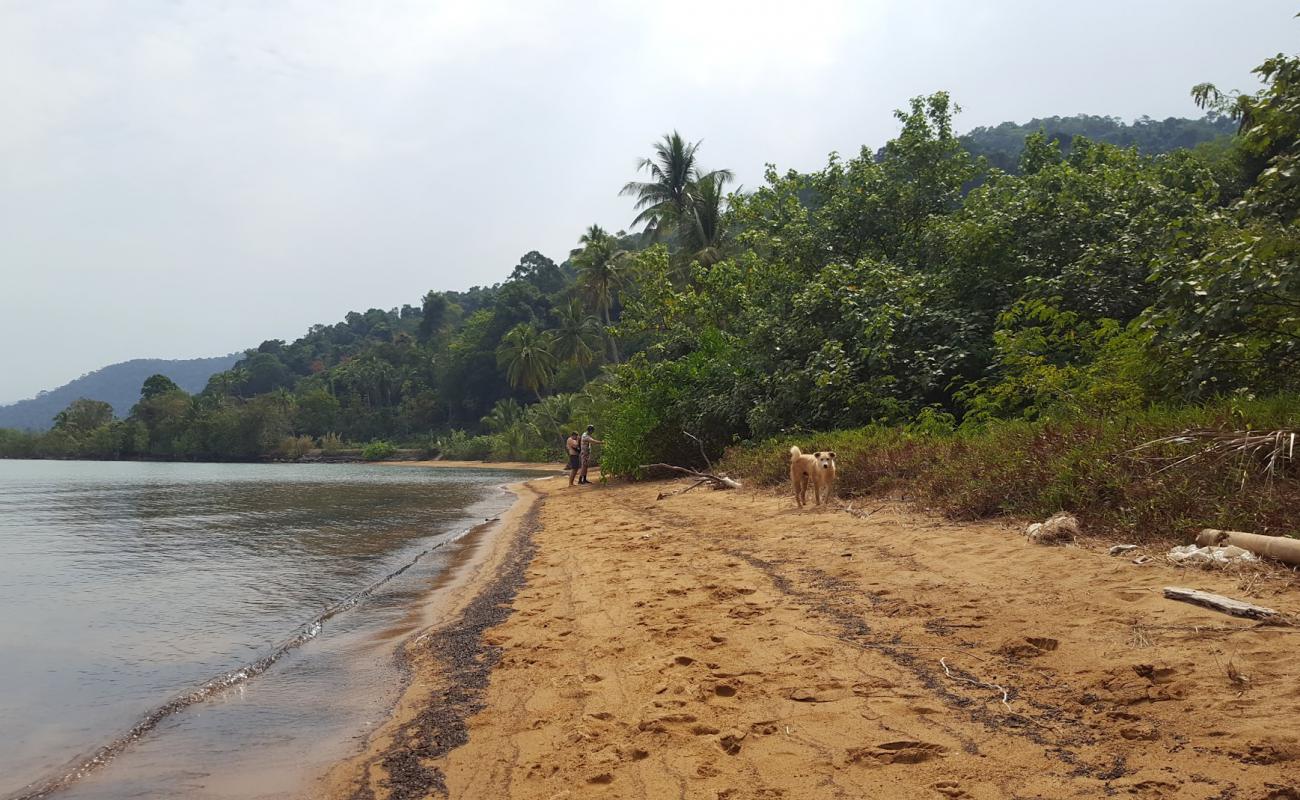 Photo of Exotic Beach with brown sand surface