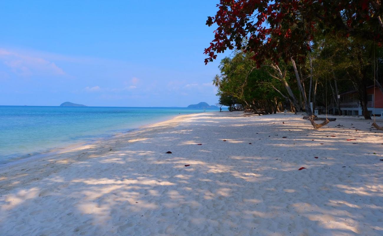 Photo of Laoya Coco Beach with white fine sand surface