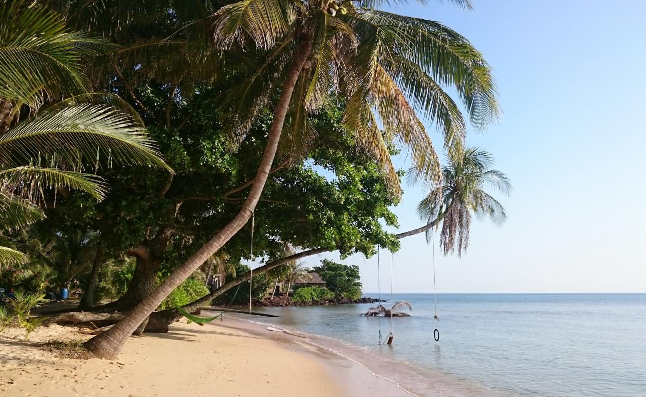 Photo of Palm Beach with bright fine sand surface