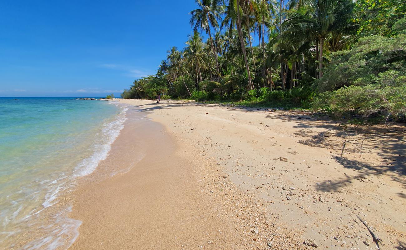 Photo of Turtle Beach with bright sand surface