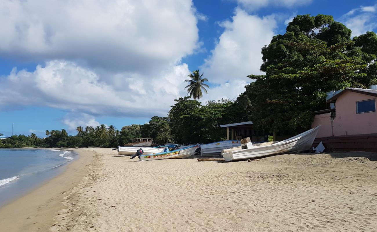 Photo of Great Courland Bay beach with bright sand surface