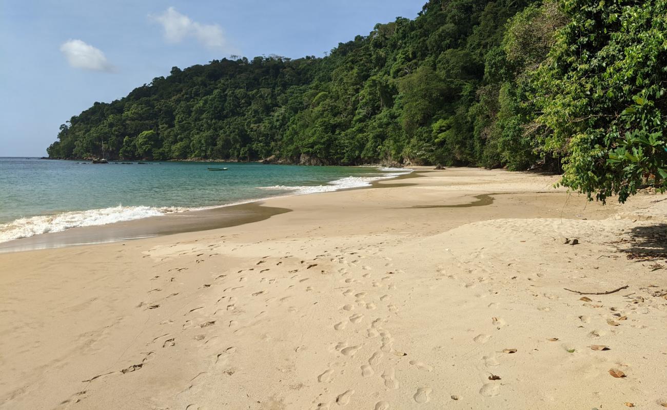 Photo of Pirate's Bay beach with bright fine sand surface