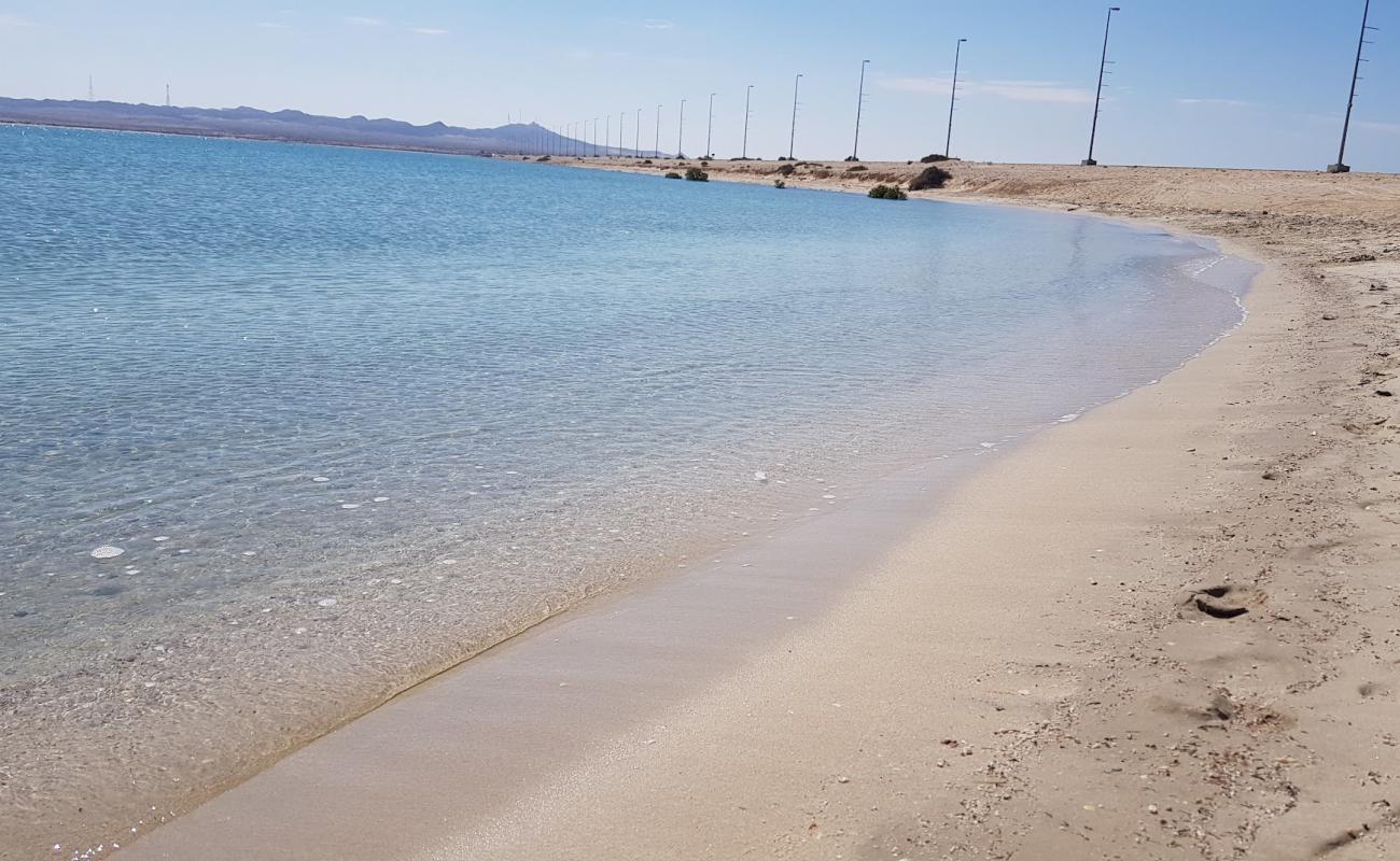 Photo of Sir Bani Yas beach with white sand surface