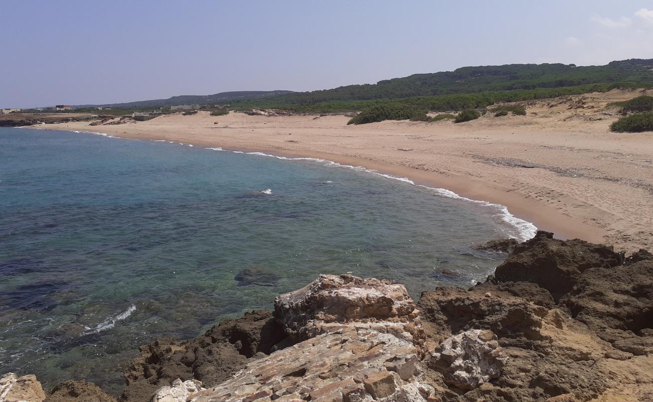 Photo of Plage Sidi Mechreg with brown sand surface