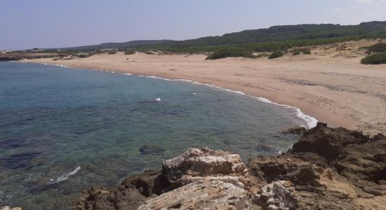 Plage Sidi Mechreg