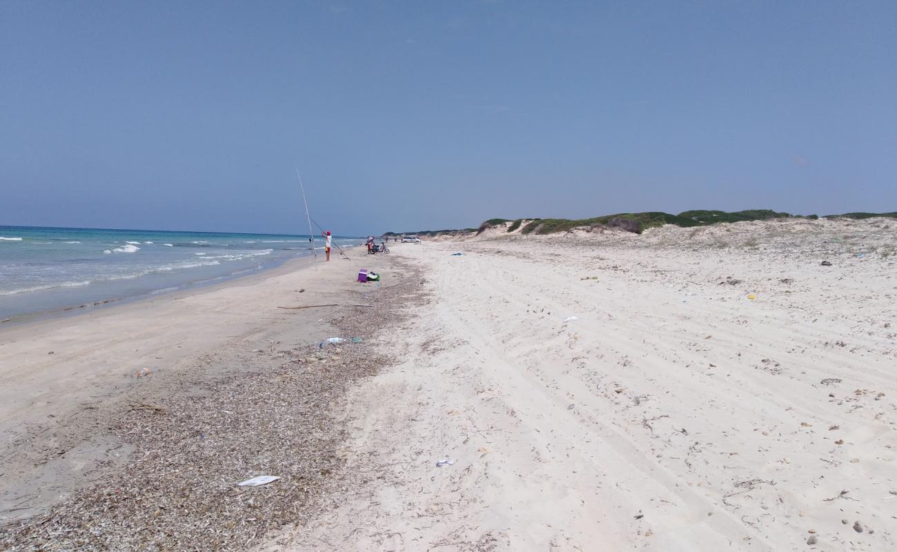 Photo of Monotonous Beach with bright sand surface