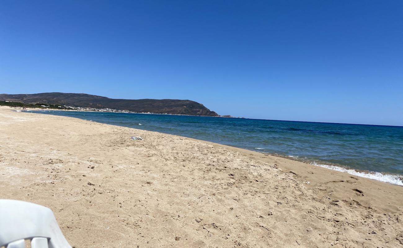 Photo of Eastern Haouaria II with bright sand surface