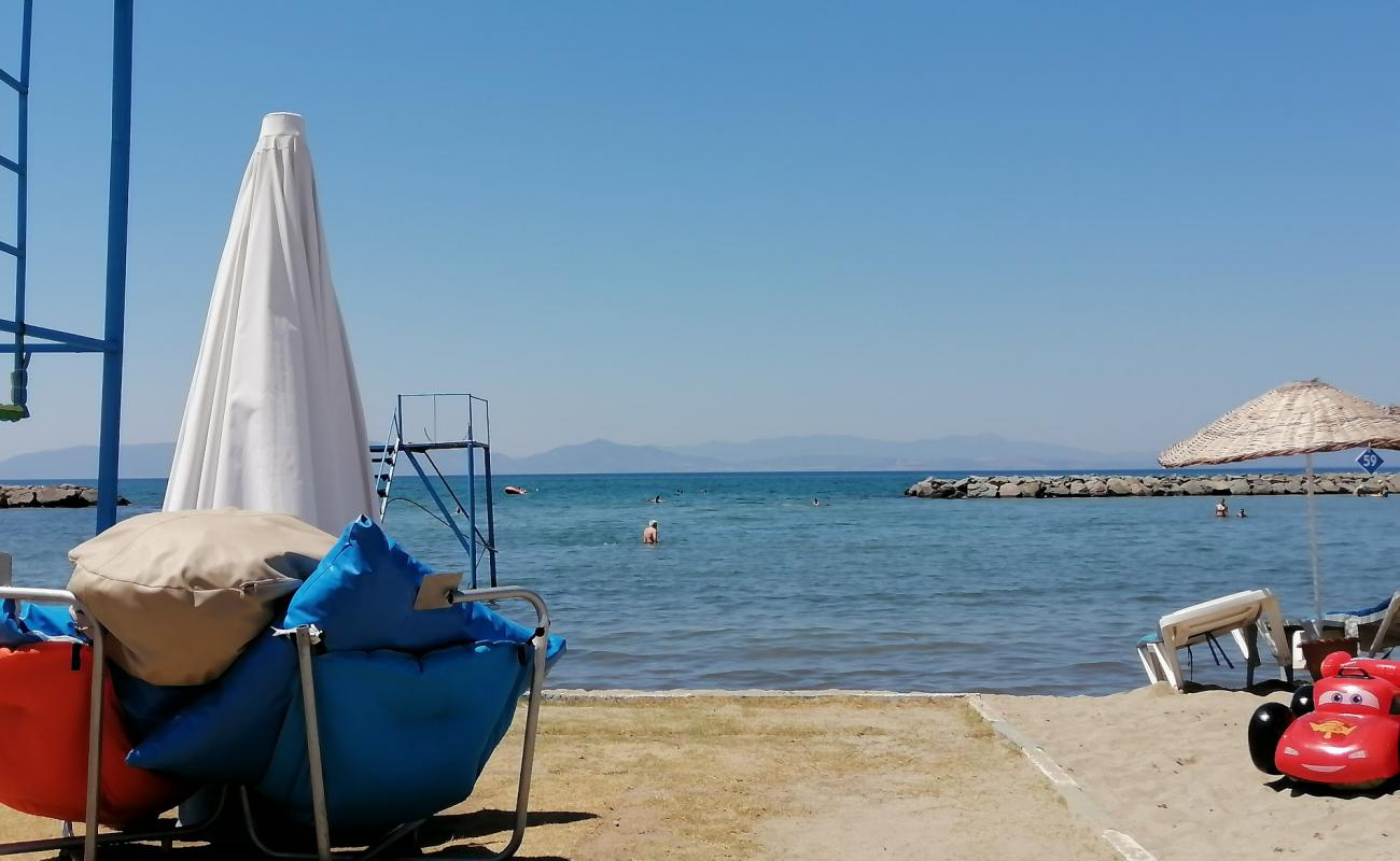 Photo of Aquarium beach with bright sand surface