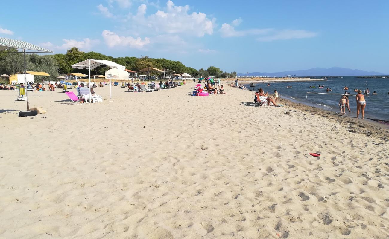 Photo of Professors beach with bright sand surface