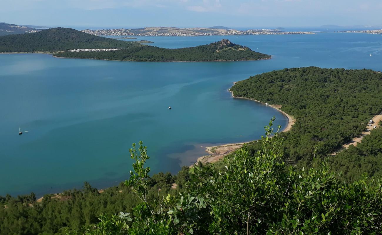 Photo of Kumru Bay beach III with light sand &  pebble surface