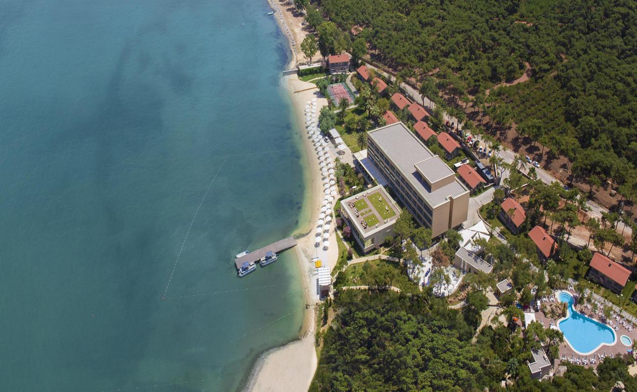 Photo of Ayvalik beach with bright sand surface