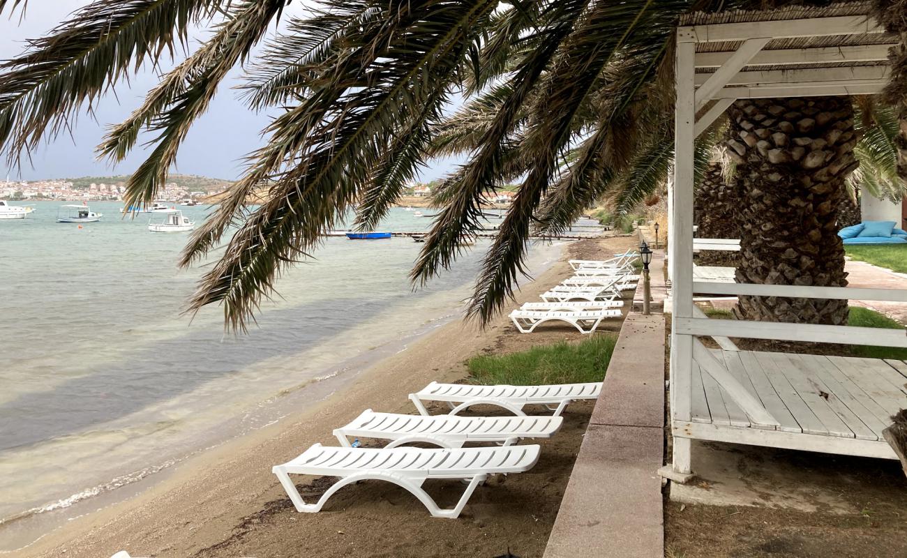 Photo of Erol beach with bright sand surface