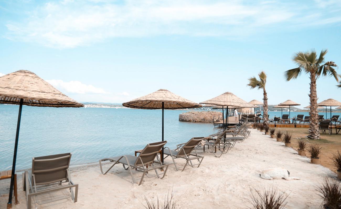 Photo of Cunda beach with bright sand surface