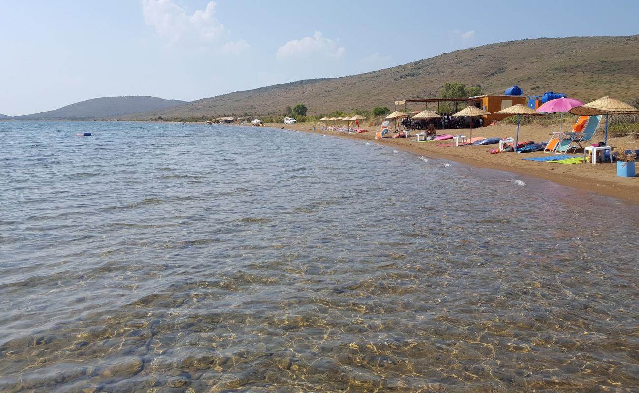 Photo of Alibey beach with black sand & pebble surface