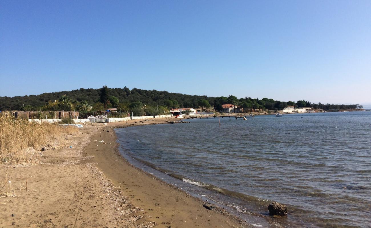 Photo of Igdeli Bay beach with bright sand surface