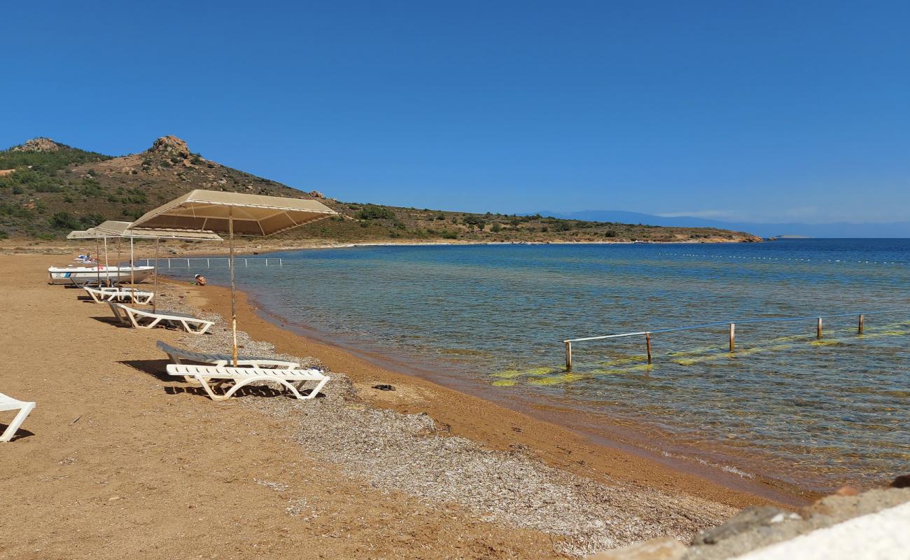 Photo of Cataltepe beach with light pebble surface