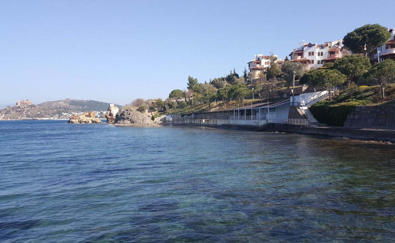 Photo of Intaland beach with concrete cover surface