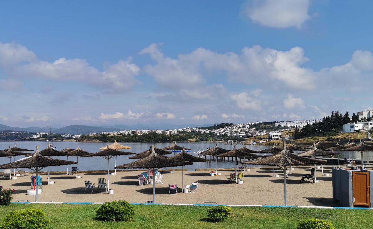 Photo of Shipyard beach with bright sand surface