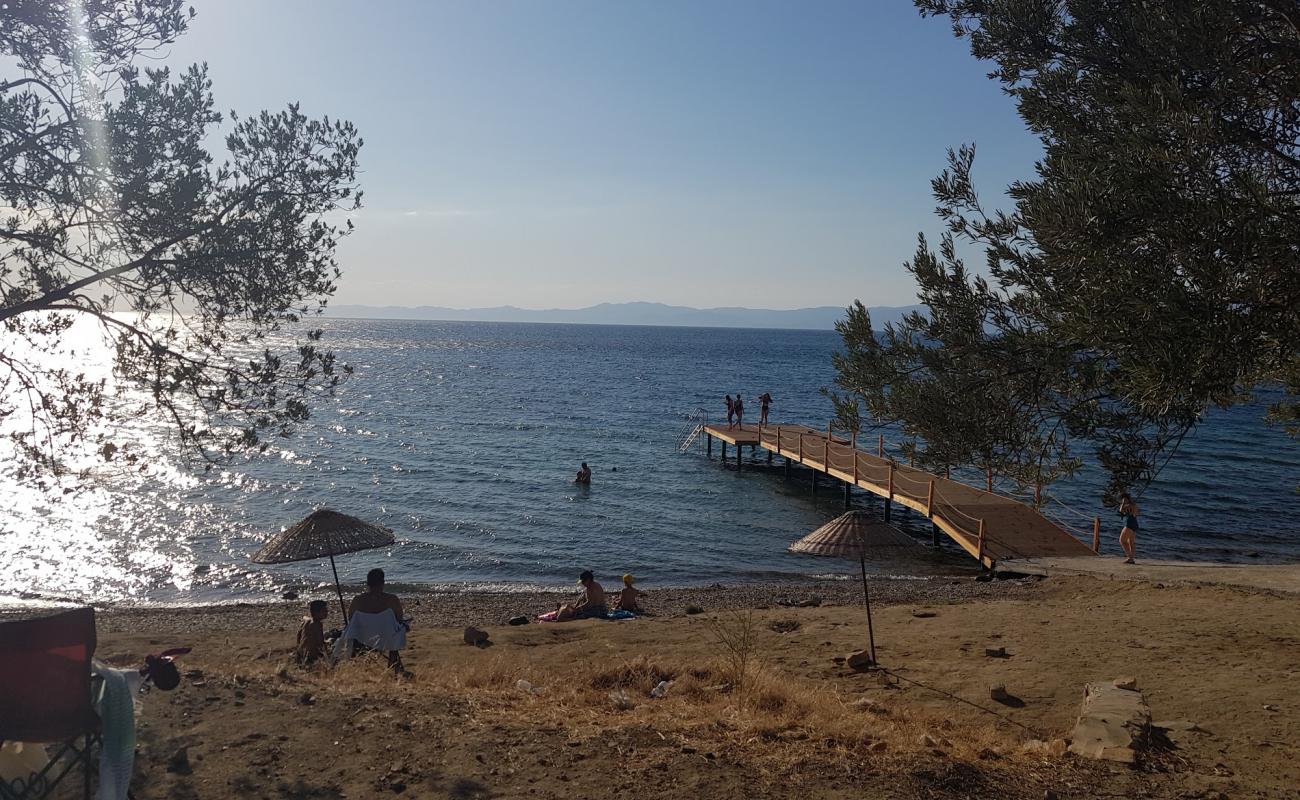 Photo of Zeytinli kamp beach with black sand & pebble surface