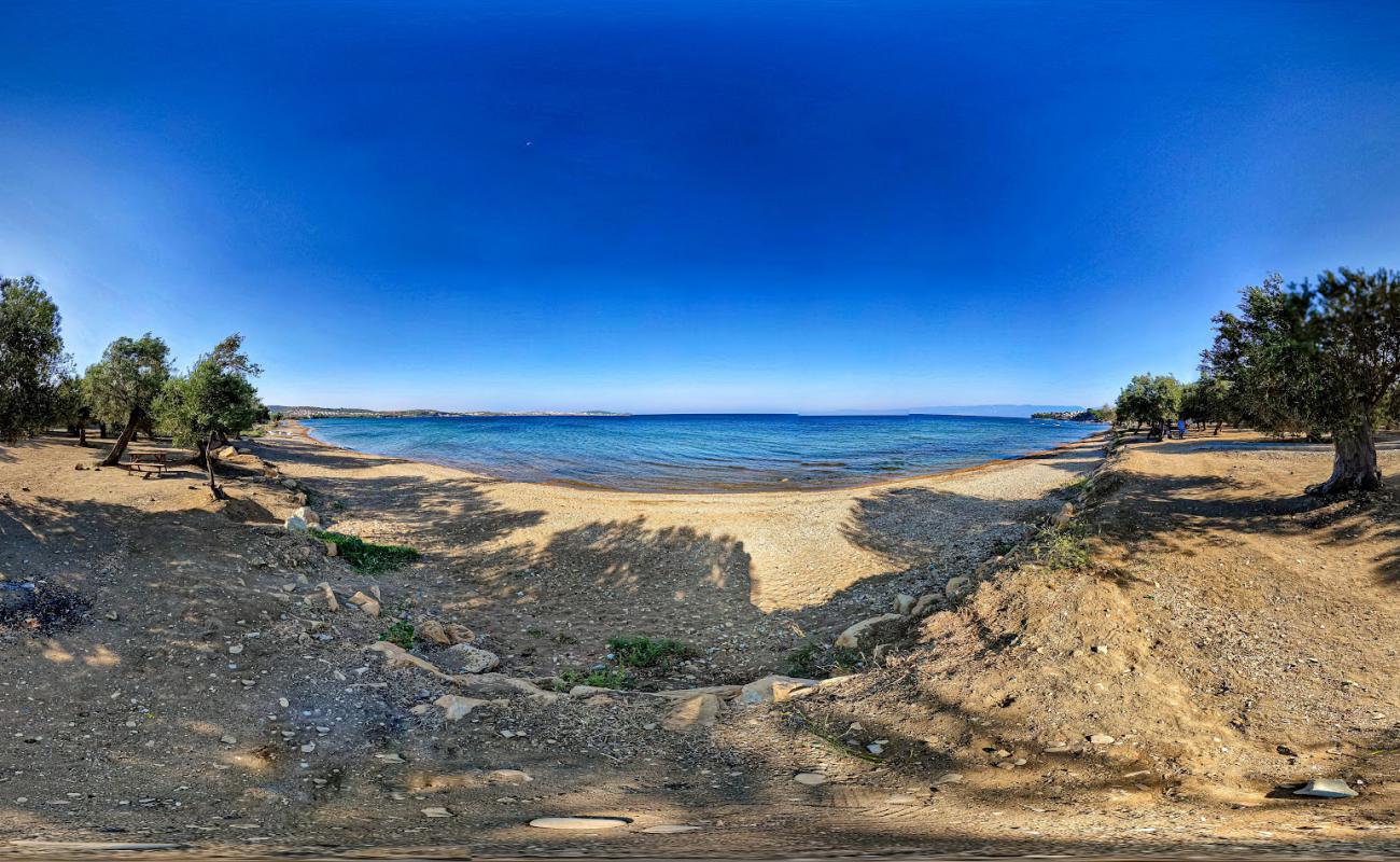 Photo of Altinyol Bay with black sand & pebble surface