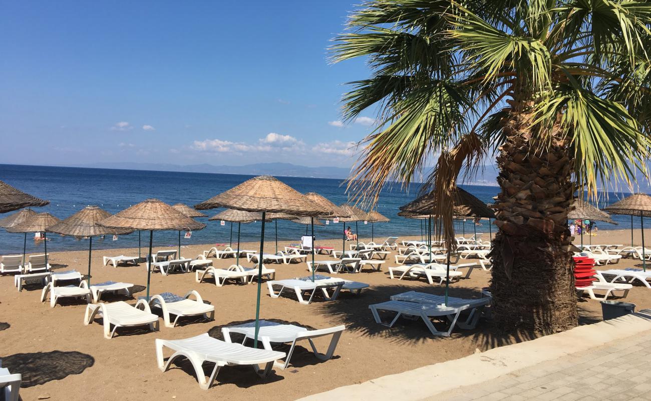 Photo of Mayko beach with bright sand surface