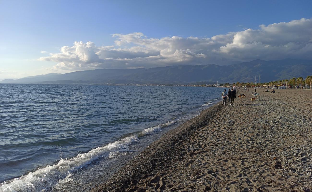 Photo of Turban beach with bright sand surface