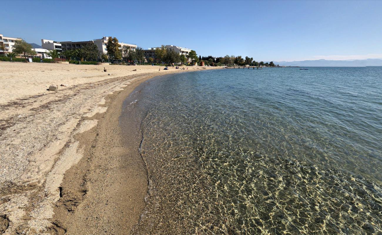 Photo of Palmera beach and the settlement