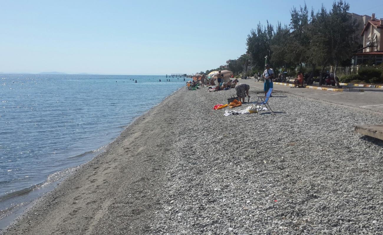 Photo of Altinoluk beach with light fine pebble surface