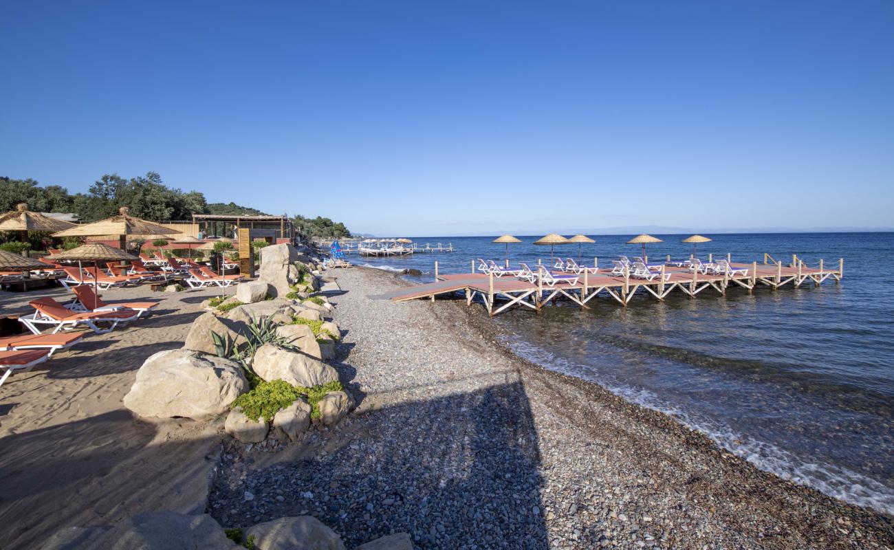 Photo of Assos Club beach with light pebble surface