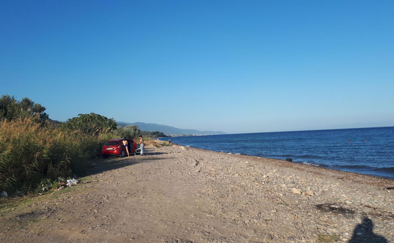 Photo of Assos Free beach with light pebble surface