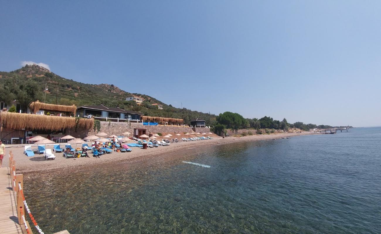 Photo of Kotti beach with light sand &  pebble surface