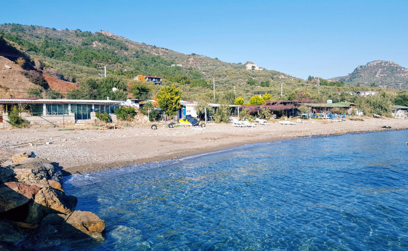 Photo of Yahya beach with light sand &  pebble surface