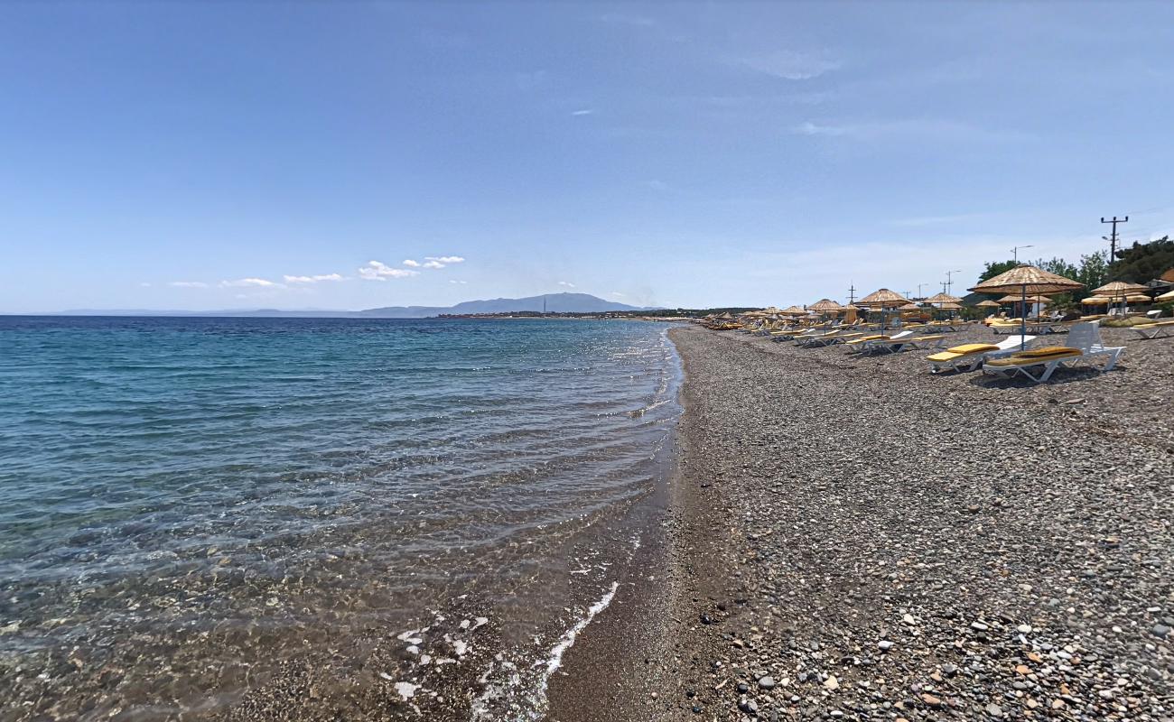 Photo of Galley beach backed by cliffs