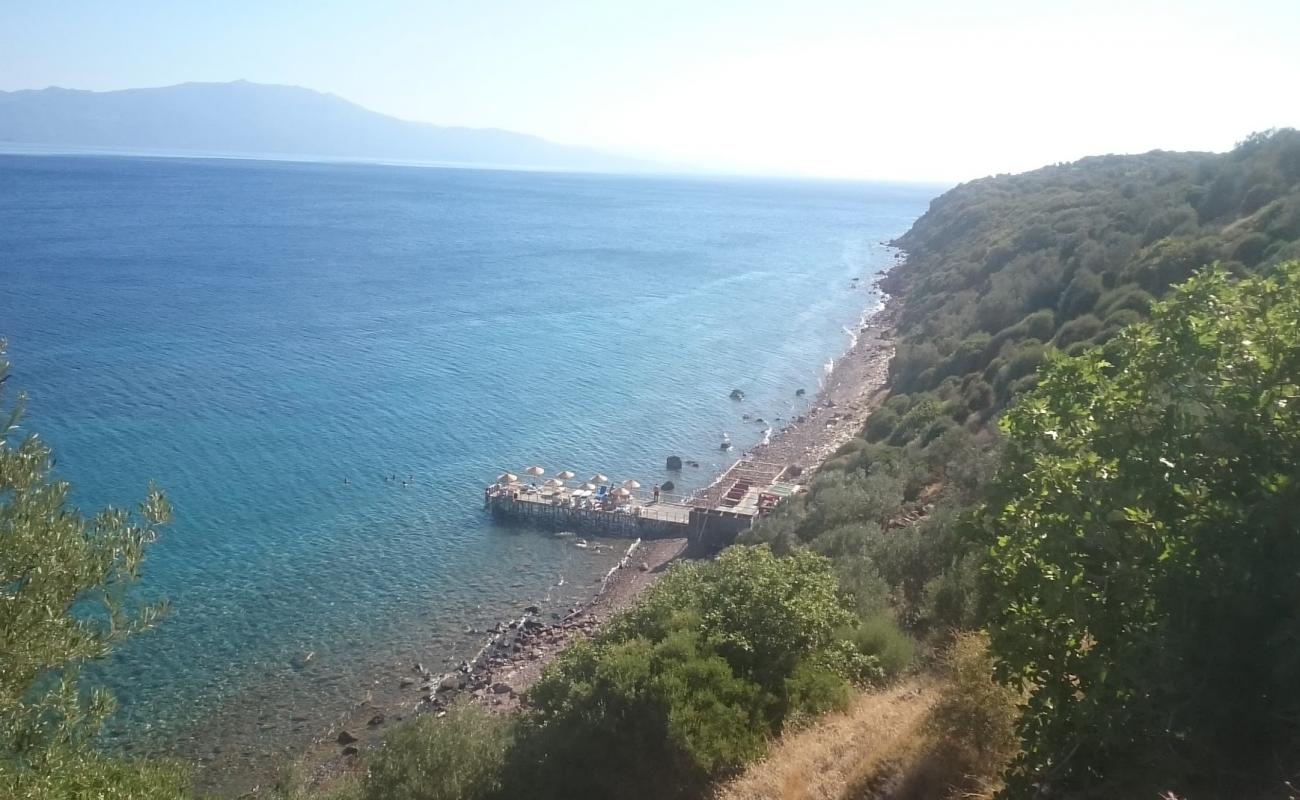 Photo of Sivrice beach with rocks cover surface